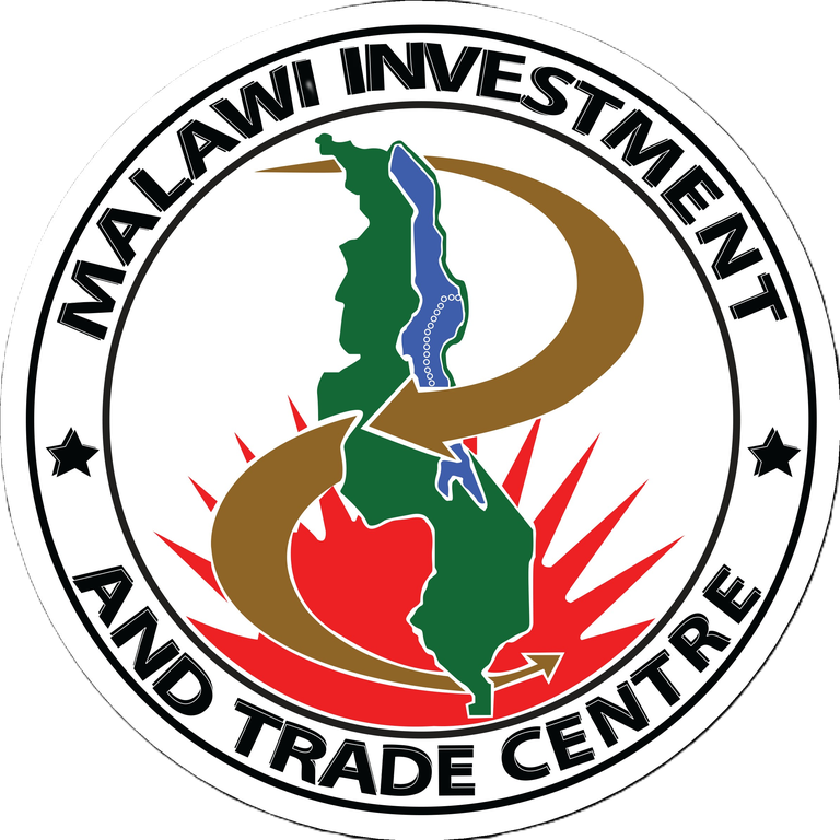 Footer Logo